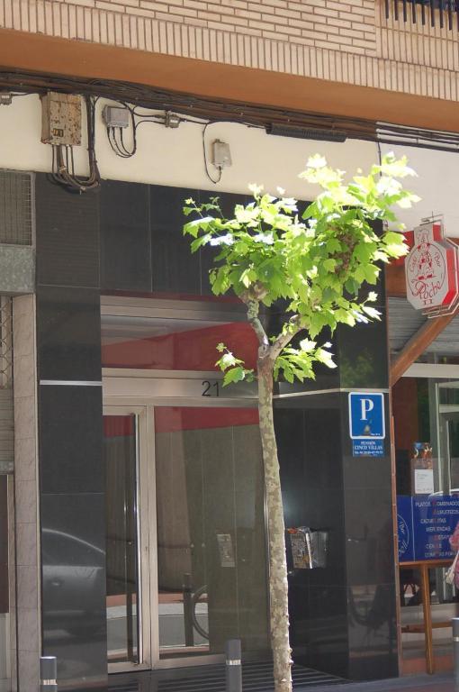 Pension Cinco Villas 로그로노 외부 사진